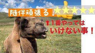 39【用語解説】随伴なにそれ？？ [upl. by Esela]