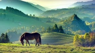 Celtic Highlands Music  Scottish Isles [upl. by Lerner]