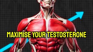 Increase Your Testosterone In 24 Hours naturally [upl. by Kcyred]