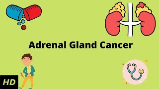 Adrenal Gland Cancer Causes Symptoms Diagnosis and Treatment [upl. by Agostino]