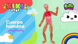 Cuerpo Humano  Descúbrelo en Kiki Sabe [upl. by Afira178]