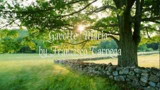 Gavotte Maria by Francisco Tárrega [upl. by Acinot]