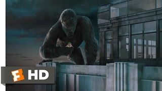 King Kong 810 Movie CLIP  Climbing the Empire State Building 2005 HD [upl. by Fahy]