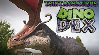 dino dex tsintaosaurus screen time part 1 [upl. by Aromas]