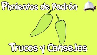 PIMIENTOS DE PADRÓN  Trucos y consejos [upl. by Amjan565]