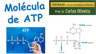 Molécula de ATP [upl. by Ackley]