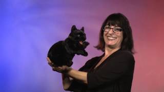 Folkmanis® Black Cat Puppet Demo [upl. by Nichole]