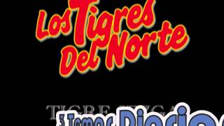 El CaneloLos Tigres del Norte Album La Garra De Año 1993 [upl. by Anit]