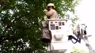 P3 Michael Fixing Power Line to My House power electric danger [upl. by Ilene]