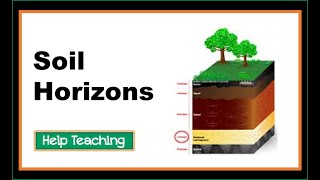 Soil Horizons  Earth Science Lesson Video [upl. by Aikemat735]