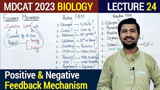 Feedback Mechanism MDCAT 2023  Negative Feedback Mechanism  Positive Feedback Mechanism [upl. by Llerraf327]