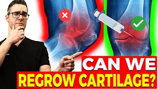 Can We Reverse Arthritis amp Regrow Cartilage New Studies [upl. by Jurgen]