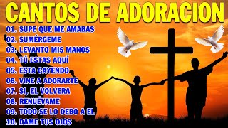 PODEROSAS CANCIONES CRISTIANAS PARA LIBERAR TU MENTE Y EL CORAZÓN 🕊️🕊️ SUPE QUE ME AMABAS 🙏🙏 [upl. by Goar621]