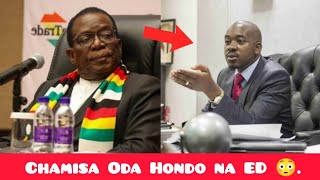 Chamisas Shocking Letter To Mnangagwa Inzwa 😳 [upl. by Arten]