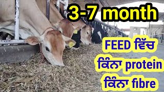 Calf Grower d Feed vich protein kina hona chahiye [upl. by Devinna]