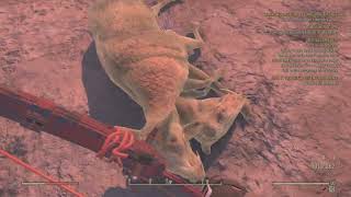 Fallout 76  Radstag Location  Need a few more kills on Radstags to complete challenges 2 Stags [upl. by Elyak]