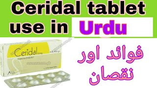 Ceridal 10mg Tablet use in UrduHindi  technical and medical information  Ceridal tab side effect [upl. by Gratiana]