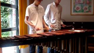 The Pirates Of The Caribbean  Medley Marimba [upl. by Madaras]