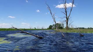 Kayaking the Scuppernong River in Wisconsin [upl. by Farro]