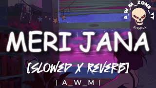 Meri Jana slowed and reverb new song zeashan khan rokhri AWMzoneYT  subscribe now [upl. by Maighdiln516]