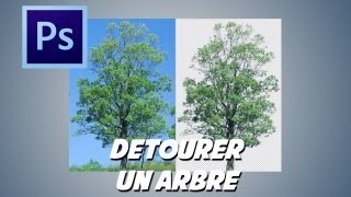 photoshop détourer un arbre [upl. by Aved]