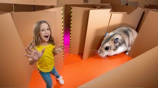 Nastya and the hamsters escape from the cardboard maze [upl. by Sutphin913]