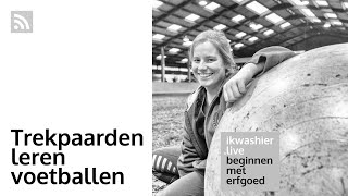 Trekpaarden leren voetballen met Dorien Renders van Ju met ’t peird  Beginnen met erfgoed 137 [upl. by Cymbre330]