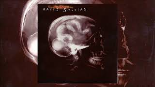 David Sylvian  God Man Full EP [upl. by Duval66]