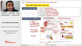 PATOLOGÍA DEL CALCIO Y DE LAS PARATIROIDES  ENDOCRINOLOGÍA  VILLAMEDIC [upl. by Ahsrat789]