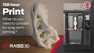 158 HOUR PRINT Superlongduration printing test on the Raise3D Pro3 Plus TRex skull [upl. by Atrebor]