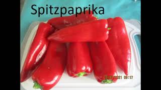 Wann Paprika Samen aussäen [upl. by Kalk]