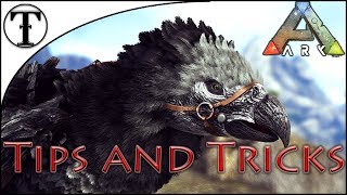 Fast Argentavis Taming Guide  Ark  Survival Evolved Tips and Tricks [upl. by Koby870]