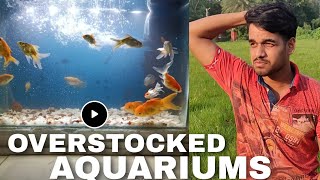 OverStocked Aquariums Are Unhealthy  AQUATIC REVIEW EP 13 [upl. by Rodmann]