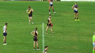 2016 SANFL ROUND 16 GLENELG v ADELAIDE [upl. by Amikay]