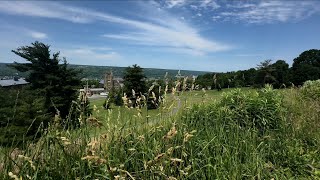 The Majestic Landscape of Cayuga Lake and Ithaca City  Nature Lovers [upl. by Carhart]