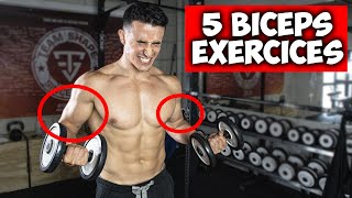 Des bras plus gros en 30jours  5 exercices biceps [upl. by Killion]