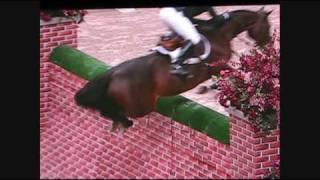 Puissance WIHS  Horse jumps 7 foot wall [upl. by Irah]