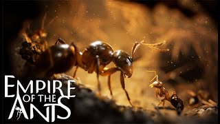 Empire of the Ants quotFirst Hourquot PS5 4K [upl. by Abigael]