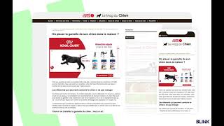 Bliink  Instream Footer Mars RoyalCanin Octobre2024 [upl. by Laven]