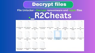 Unveiling the Secrets of Decrypting Ransomware  R2Cheats recovery ransomware [upl. by Siram]