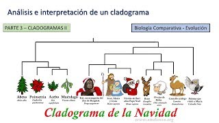 Cladogramas II  BiologiaXXI [upl. by Pallaten890]