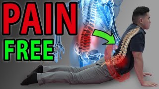 6 Absolute Best Exercises for Low Back Pain  SIJ  Facet Syndrome Mobilisation  Lumbar Pain [upl. by Christye]