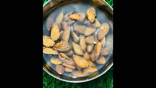 Healthy Snack Alert Homemade roasted almonds recipe roastedalmonds healthysnacks snacktime [upl. by Anerec]