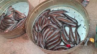 Ramnagar Fish Market Sunday In Rainy Season [upl. by Lohman]