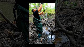 Wow What A Hole 🤣  Beaver Dam Removal shorts [upl. by Kelton]