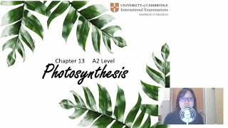 Chap 13 Part 1 Chloroplast Pigments  Cambridge ALevel 9700 Biology [upl. by Yssirc]