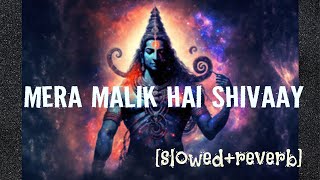 Mera malik hai shivay  slowedreverb [upl. by Eshelman]