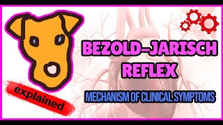 Bezold–Jarisch reflex Mechanisms of clinical symptoms [upl. by Bradly]