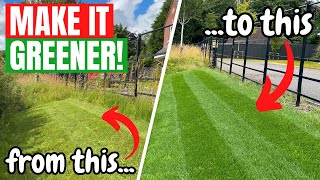 How to get a THICKER and GREENER LAWN  Its time to keep lawn care SIMPLE [upl. by Ebanreb792]