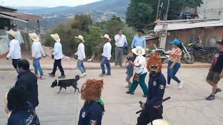 tradiciones y costumbres de semana santa en santiago tilantongo nochixtlan oaxaca 2024 [upl. by Analahs]